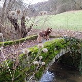 01.01.2019 Kreuzbachtal Aurich